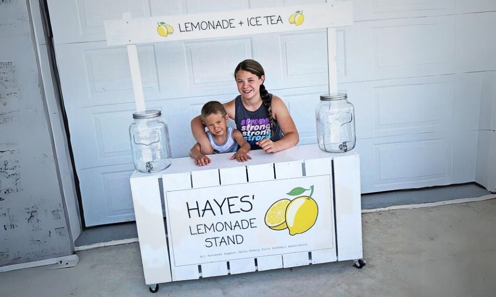 Easy Build Lemonade Stand Ana White 5251